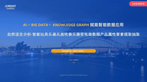 自然语言分析在电商数据中的应用 以智能玩具乐器民族吹奏乐器笙为例的产品属性要素提取